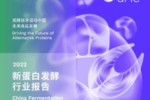 2022新蛋白发酵行业报告-谷孚（PDF）