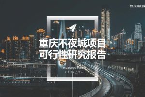 2020重庆不夜城项目可行性研究报告（PDF）