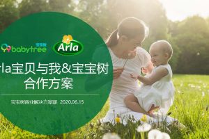 2020母婴奶粉品牌Arla宝贝与我&宝宝树媒体合作方案（PDF）