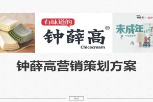 2021钟薛高雪糕品牌营销策划方案（PDF）