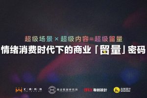 情绪消费时代下的商业【留量】密码—超级场景×超级内容=超级留量（PDF）