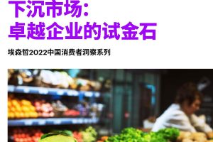 下沉市场：卓越企业的试金石-埃森哲2022中国消费者洞察（PDF）