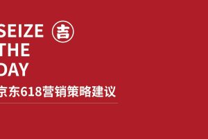 2022京东618四省联动营销策略推广方案（PDF）