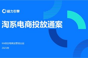 淘系电商投放营销通案-快手磁力引擎（PDF）