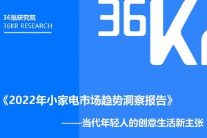 2022年小家电市场趋势洞察报告-36氪研究院（PDF）