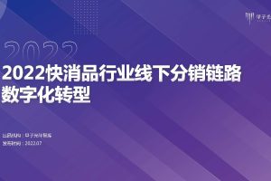 2022快消品行业线下分销链路数字化转型-甲子光年（PDF）