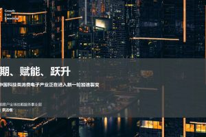 周期、赋能、跃升-中国科技类消费电子产业正在进入新一轮加速裂变-GfK（PDF）