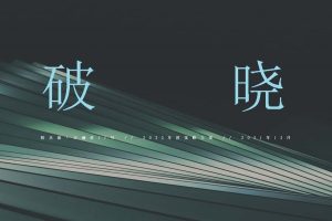 阳光城天澜道11号大平层项目2022年度策略推广方案（PDF）