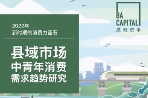 2022县域市场中青年消费需求趋势研究-黑蚁资本（PDF）
