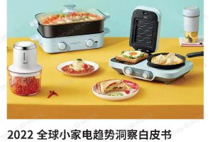 2022全球小家电趋势洞察白皮书-新宝股份&魔镜市场情报&Jungle Scout（PDF)
