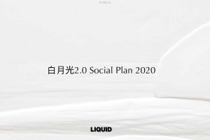 2020雅诗兰黛白月光面霜社交媒体平台种草营销方案（PDF）