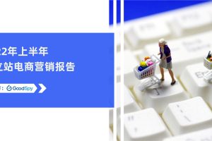 2022年上半年独立站电商营销报告-GoodSpy(PDF)