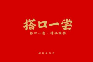 搭口一尝餐饮品牌招商加盟手册(PDF)