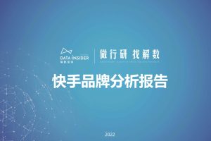 2022快手平台品牌分析-解数咨询（PDF)