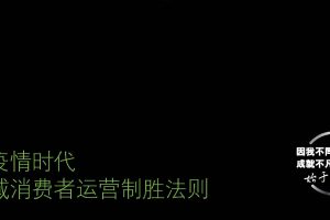 后疫情时代全域消费者运营制胜法则-德勤(PDF)