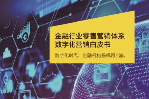 2022金融行业零售营销体系数字化营销白皮书-安永（PDF)