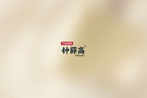 2022钟薛高雪糕品牌手册(PDF)