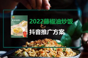 2022金龙鱼藤椒油炒饭预制菜抖音推广方案(PPT)