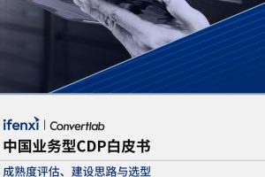 2022中国业务型CDP白皮书-爱分析(PDF)