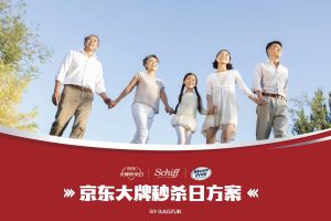 保健品牌movefree益节京东大牌秒杀日电商大促方案(PDF)