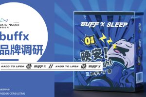 2021buffx品牌调研分析方案(PDF)