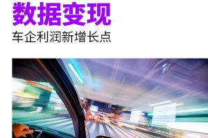 数据变现：车企利润新增长点-埃森哲(PDF)