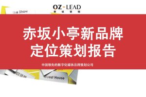赤坂小亭餐饮烧烤品牌定位策划报告(PDF)
