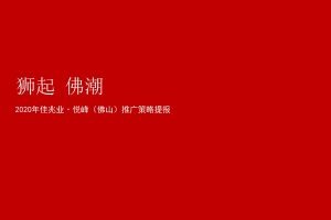 佛山佳兆业悦峰2020年度推广方案(PDF)