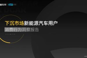 2022下沉市场新能源汽车用户消费行为洞察报告-懂车帝(PDF)