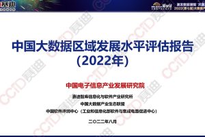 赛迪：2022年中国大数据区域发展水平评估报告(PDF)