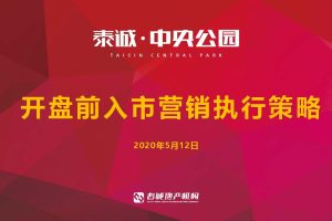 2020泰诚中央公园开盘前入市营销执行策略方案(PDF)