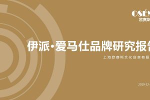 2019伊派瓷砖品牌战略规划方案(PDF)