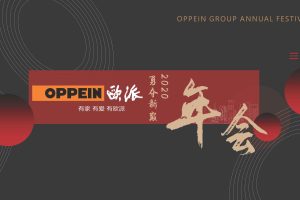 2020欧派家居年会策划方案(PDF)