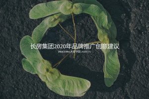 长房集团2020年品牌整合推广方案(PPT)