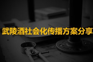 武陵酒品牌社会化传播方案(PPT)