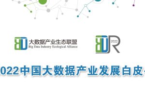 2022中国大数据产业发展白皮书-大数据产业生态联盟(PDF)