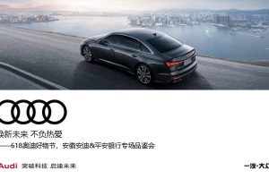 2021奥迪汽车618好物节-安徽安迪&平安银行专场品鉴会活动方案(PDF)
