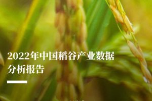 2022年中国稻谷产业数据分析报告-农小蜂(PDF)