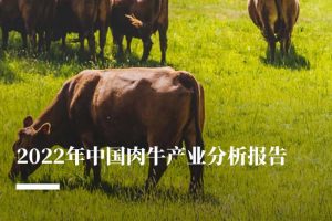 2022年中国肉牛产业分析报告-农小蜂(PDF)
