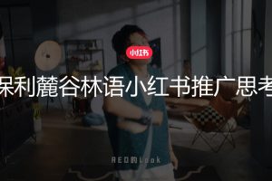 2022保利麓谷林语房地产项目小红书推广方案(PPT)