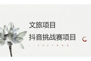 2021文旅项目抖音挑战赛活动策划方案(PPT)