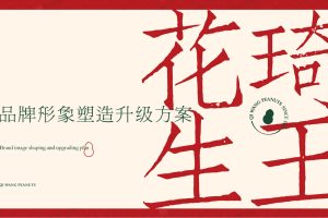 琦王花生品牌形象塑造升级方案(PDF)