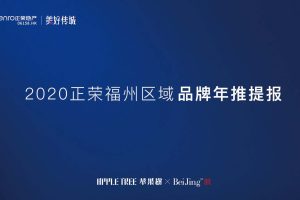 正荣地产福州区域2020年度品牌推广方案(PDF)