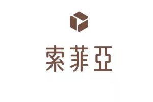 2022索菲亚家居私域案例拆解复盘方案(DOC)