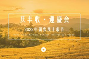2022中国农民丰收节活动策划方案(PPT)