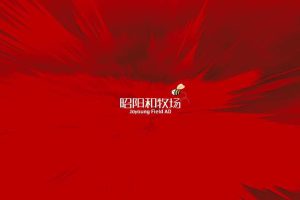 2020越秀南沙天际豪邸推广传播整合方案(PDF)