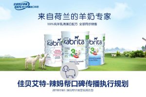 母婴品牌佳贝艾特口碑传播执行规划方案(PDF)