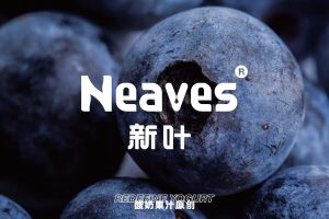 NEAVES新叶饮品品牌拓展资料（PDF）