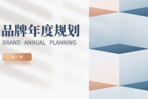 《品牌年度规划》框架模板（PDF）