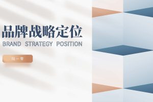 《品牌战略定位》方案模型宝典（PDF）